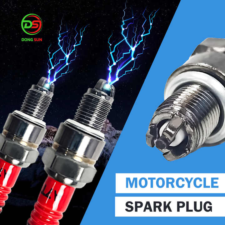 Spark Plug