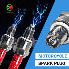 Spark Plug