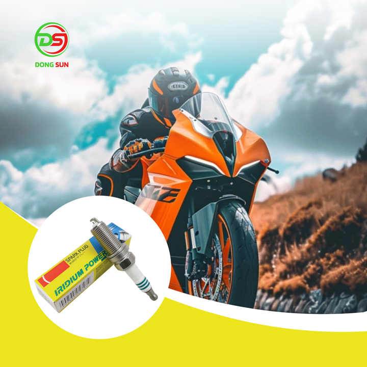 Spark Plug